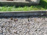 image of grave number 583401